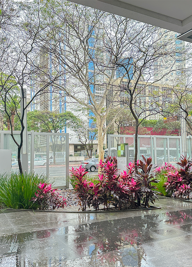 consultorio-av-paulista-sp-psicologa-em-site-9